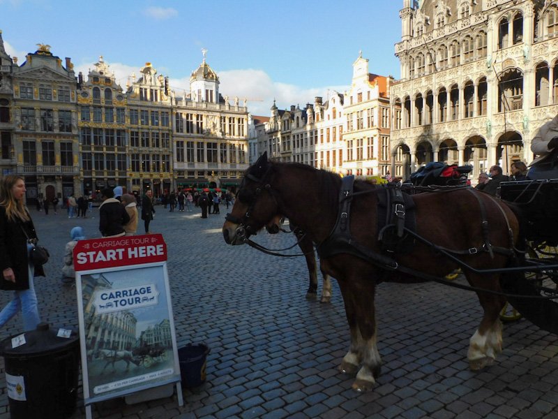 Horse and carriage tours in the crowded Grand-Place in the heart of Brussels.