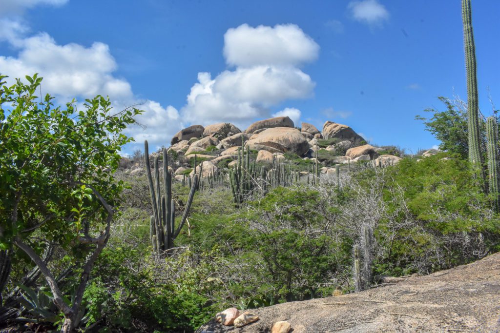 Ayo Aruba rock formations