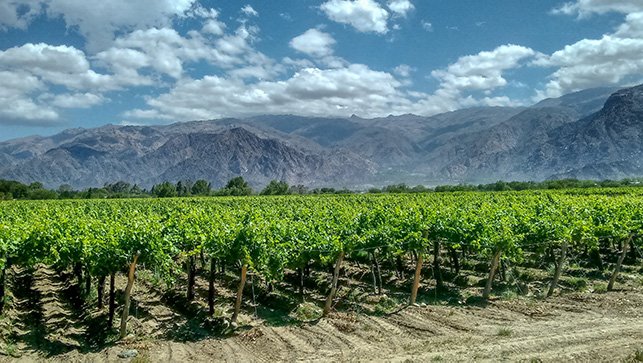 Colchagua Valley in Chile.