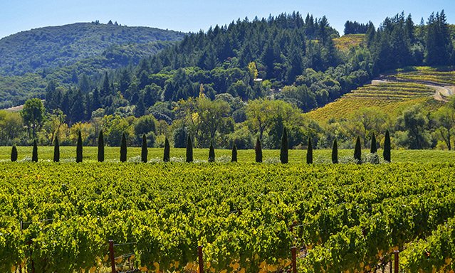 Sonoma Valley is one of the best wine regions and destinations in the world.