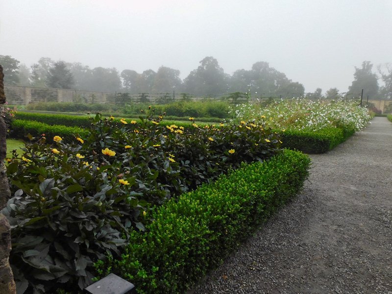 Grey skies over flowers in the Walled Gardens at Phoenix Park.