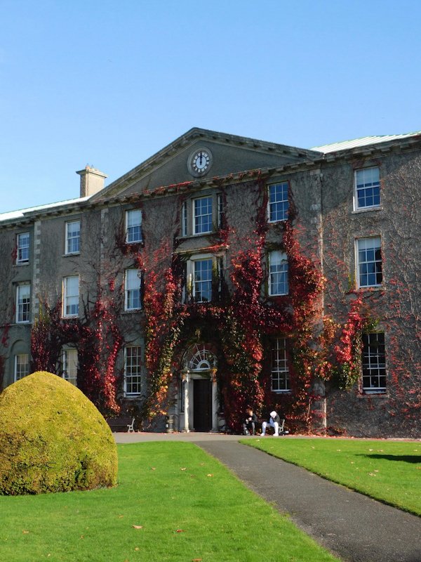 Old building at Maynooth University covered in Ivy, an underrated day trip from Dublin.