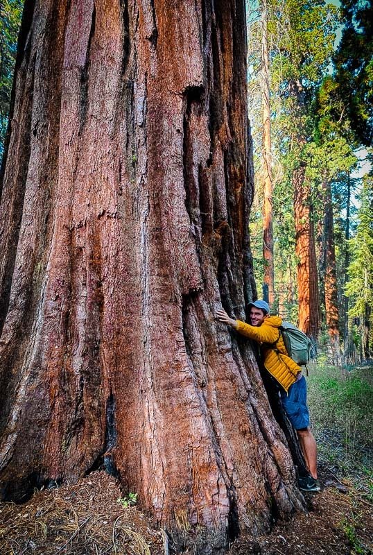 Me hugging a giant sequoia at Yosemite National Park