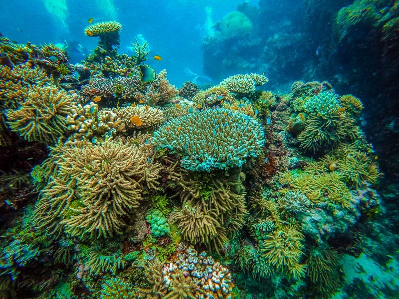 The Great Barrier Reef is a unique bucket list idea