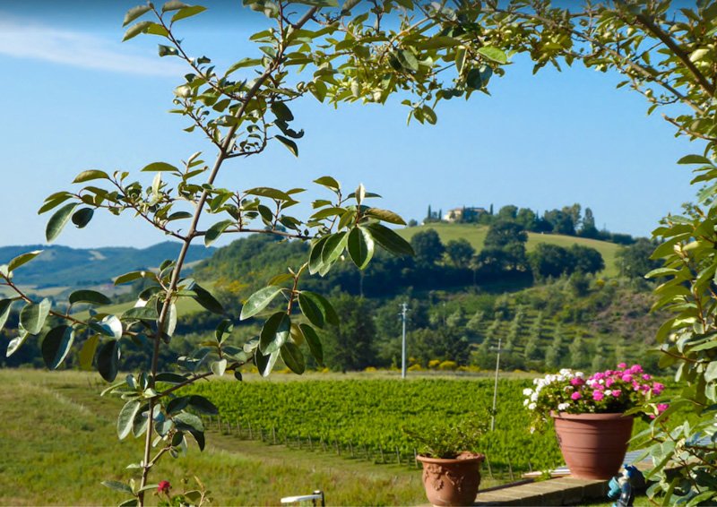 Italian villa for rent that sits on a 50-acre organic farm.