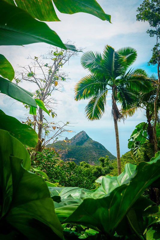 Saba is a hidden gem island in the Lesser Antilles of the Caribbean.