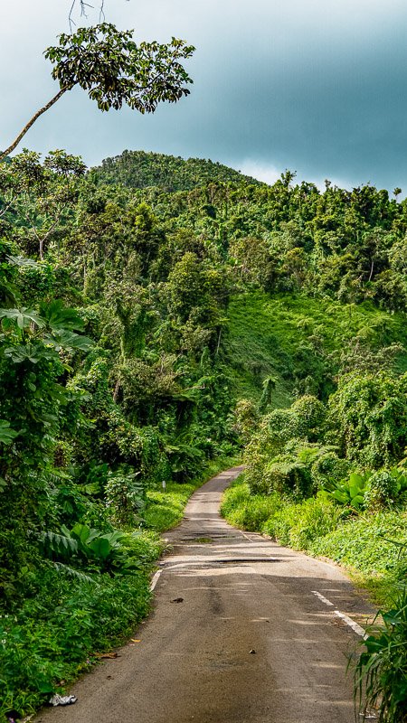 This Caribbean cruise guide highlights unique excursions, including outdoor adventures in Puerto Rico. 